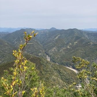 雄岳頂上手前でこんな景色が見られます☺️