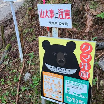 ここ数ヶ月での目撃もある。
