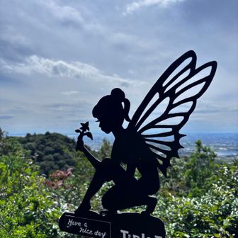 イナバ山でティンカーベル発見💡写真を頑張って撮ってたらイナバ山の看板の写真撮り忘れた😅