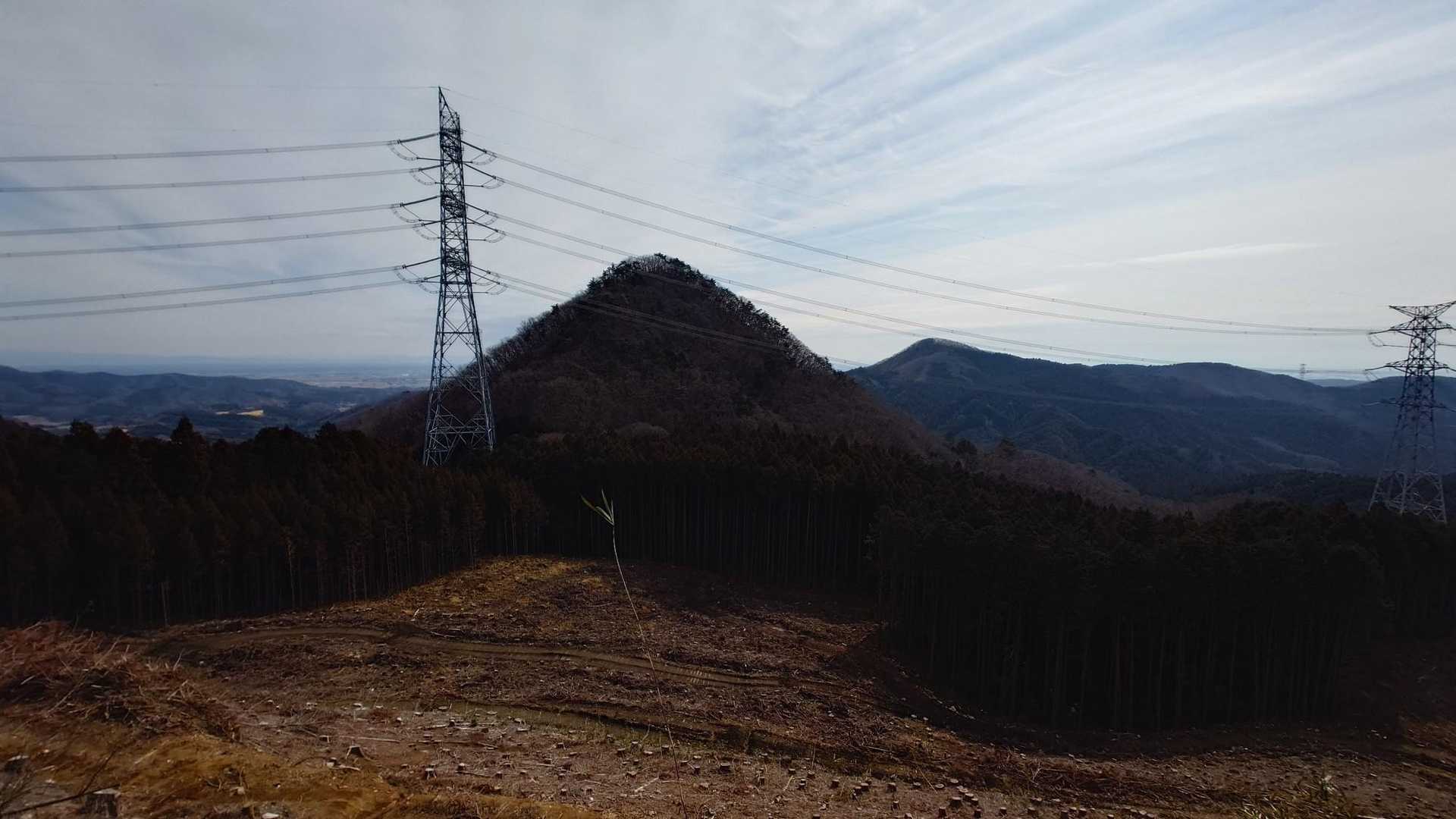 木が伐採されているエリアを通る