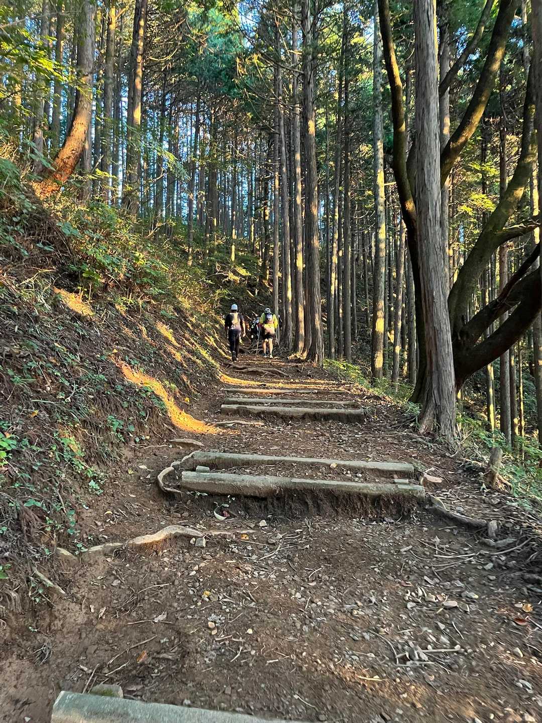 日の出山への登り