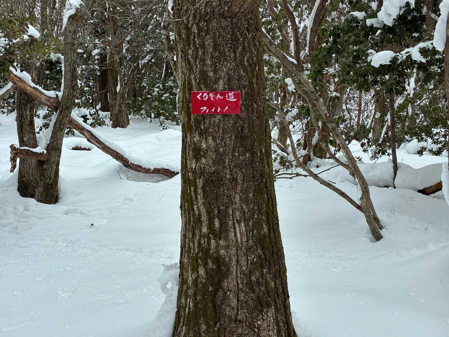 守ちゃん作の看板　いつも励まされます💪