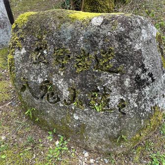 苔むした渋い岩が目印。