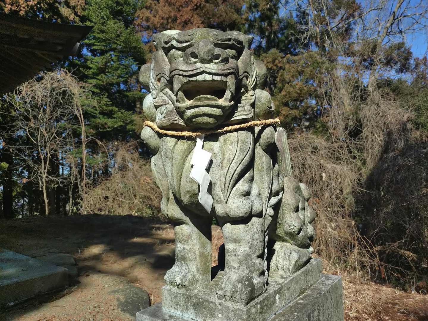 ぷりぷりしてる狛犬さん🩶