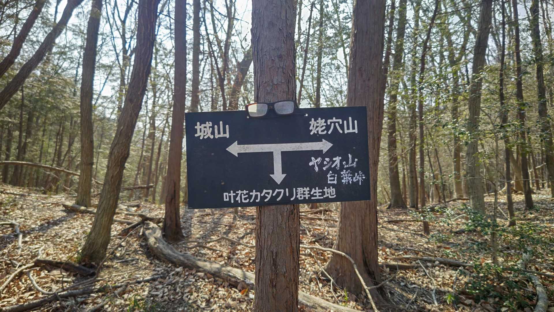 城山取付き-城山-ヤシオ山-姥穴山 周回コースの写真