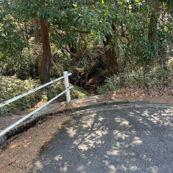 本線にもどって、摩耶山へ。

赤ルートの車道から外れて、ここを下り、大回りするこの車道をショートカットする。