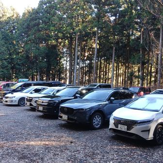 Oh〜！　25～26台はあるね
ここでクイズです
この中にワタシの欲しいクルマが1台あります
それはどれでしょう？
正解は次回の日記にて
当てた方にはな〜んと！

最後までお付き合いありがとうございました〜皆さん来年も良いお年を〜👋