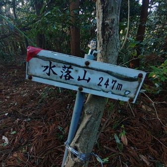 水落山、ここまでは普通の登山道