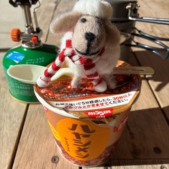 今日はハヤシライス🍛

家出て2分後にスプーン🥄忘れた事に気付いて
コンビニでスプーン欲しさに余計な物も購入
あ、この羊さんではありませんよ🐏