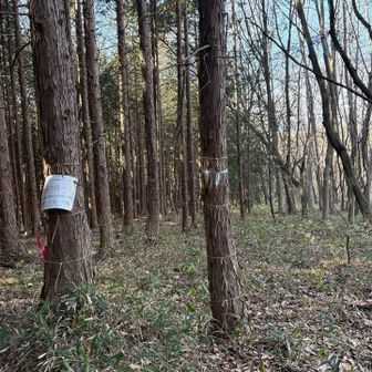 ここから名知良久山へ。