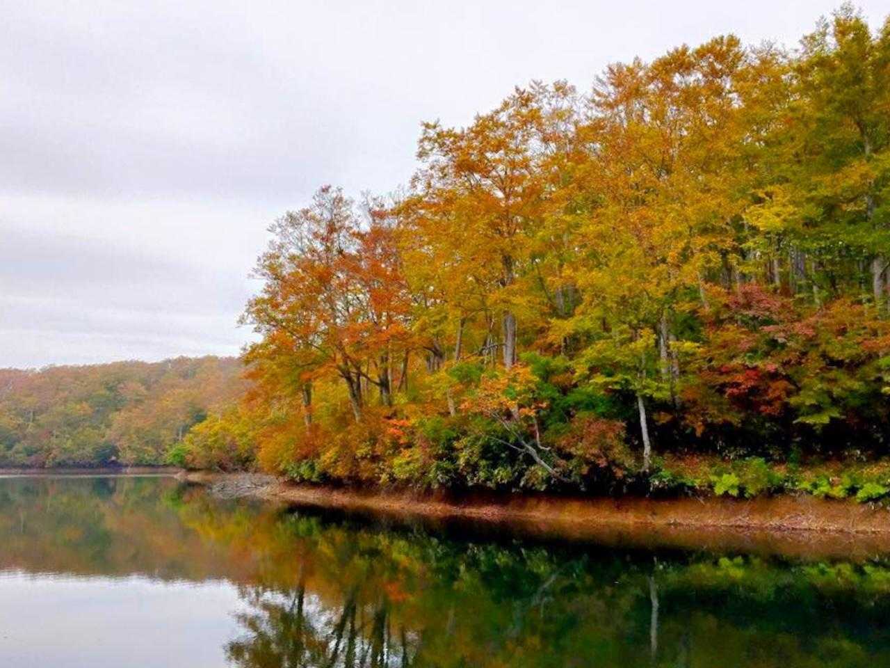 【JAPAN TRAIL】信越トレイル④（仏ヶ峰登山口 - 関田峠）の写真