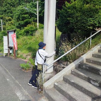 アラレちゃん