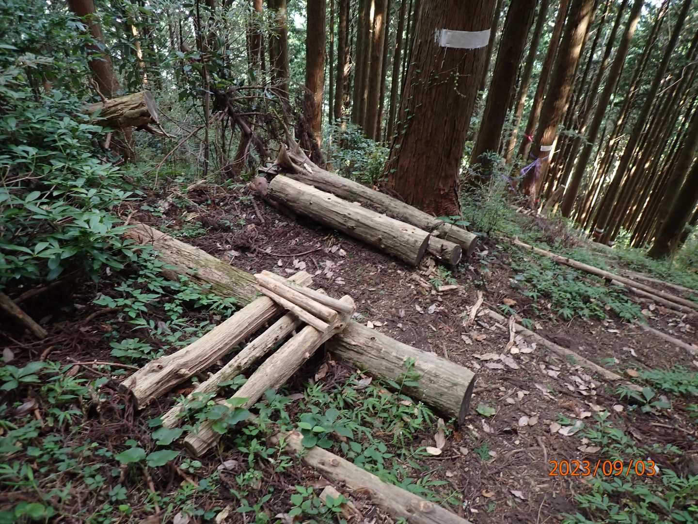 ちょっと一息