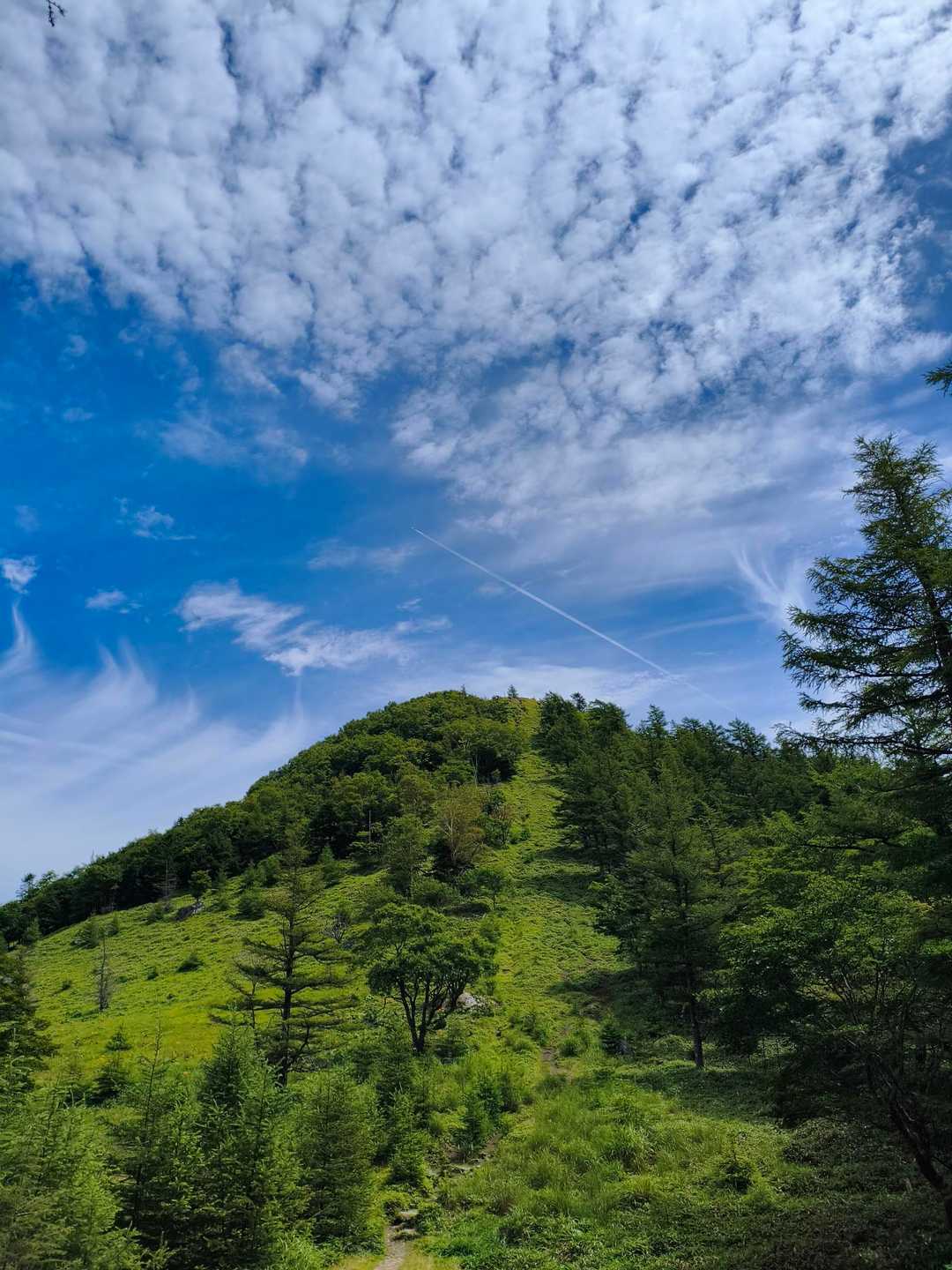 笠取山登山口-ヤブ沢峠-笠取山 往復コースの写真