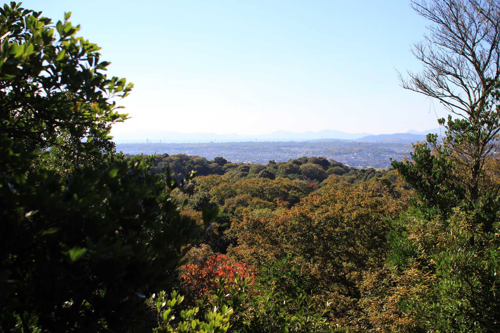 観音岳 往復コースの写真