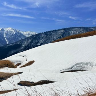 雪崩の跡は可愛いウインク😉