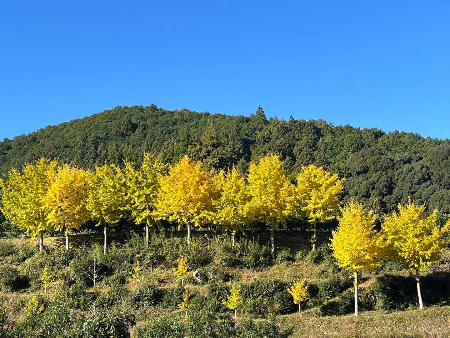 生石ヶ峰 周回コースの写真