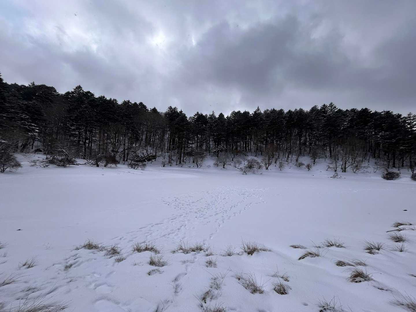 夫婦池
前と違って雪野原