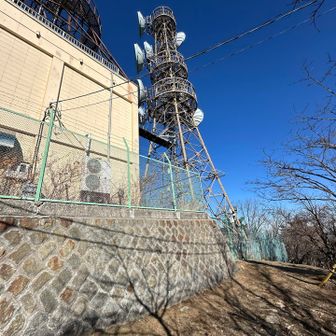 電波塔を見上げる