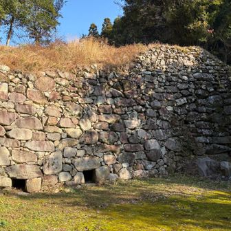 スタート直後
石垣一つでも色んな見所が