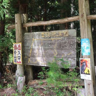 ではスタートします