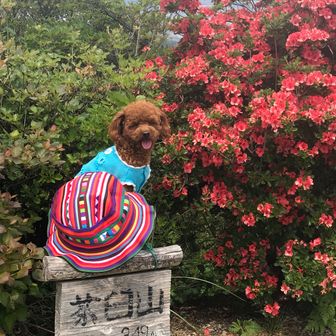 キャノン&メリー