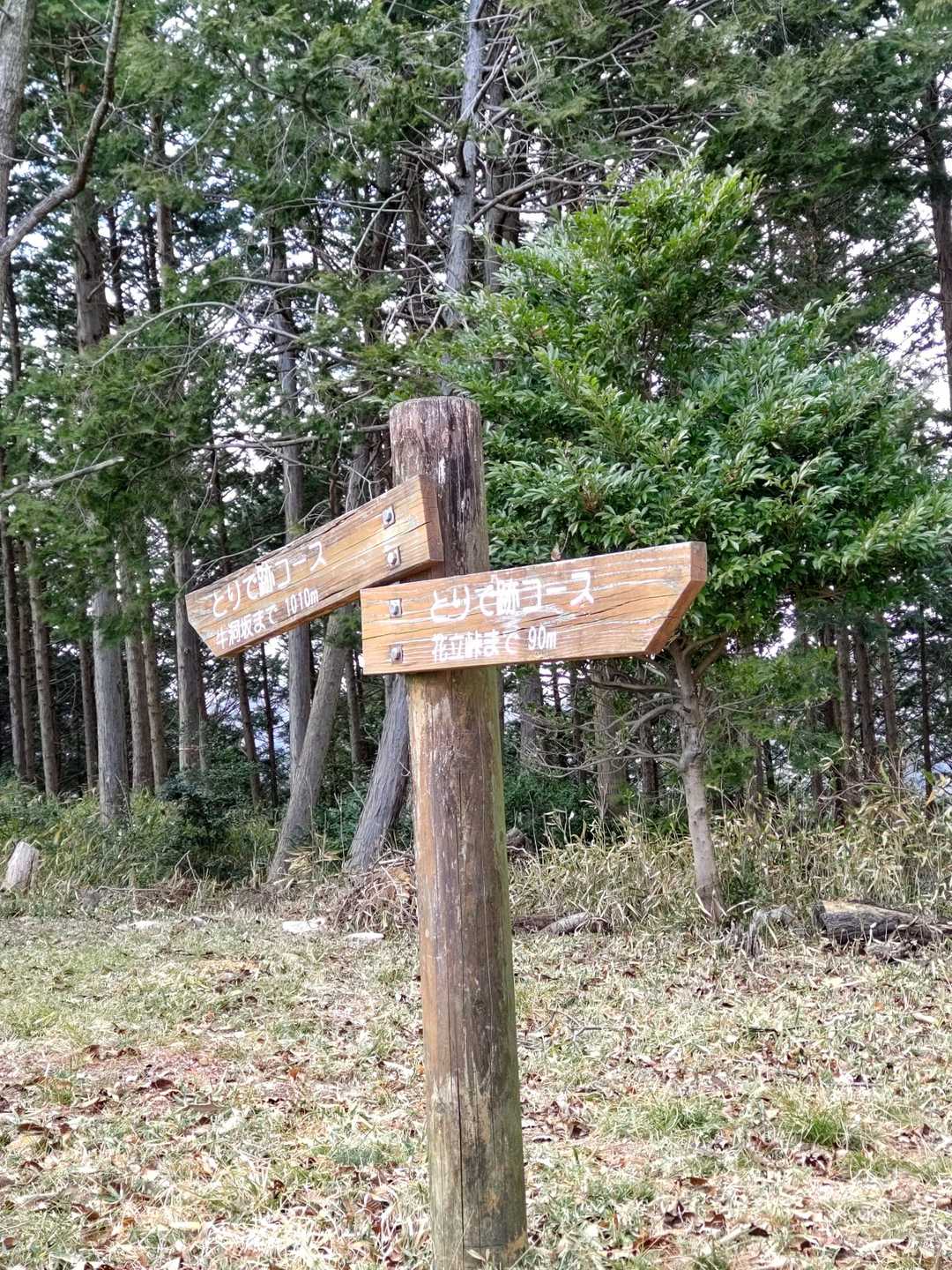 大谷山-野村坂 周回コースの写真