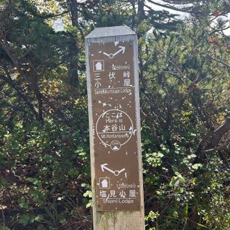 本谷山　山頂
ここは眺望なし