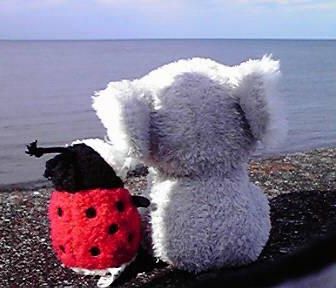 やさぐれプリン