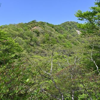 目指す塔ノ岳