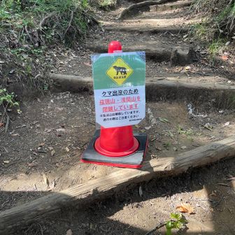 この分岐を右→に行きます
