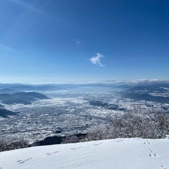 山頂からの景色
