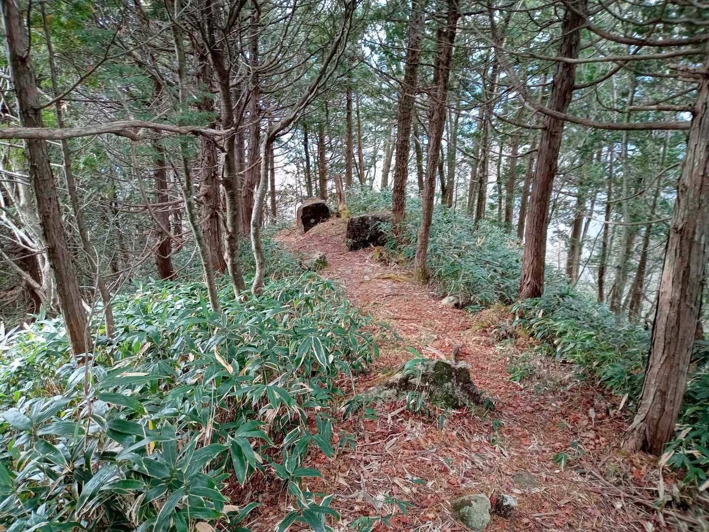 下山します　既に太ももパンパンでめっちゃしんどい😭　🦶捻挫した左足首も痛くて💦