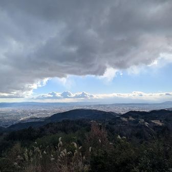 大沢山頂上からの眺めはとても良かった。大沢峠からしばらく別ルートを進んでしまい、そのまま進んでもポンポン山には行けたが、わざわざ引き返した甲斐があったと思う。