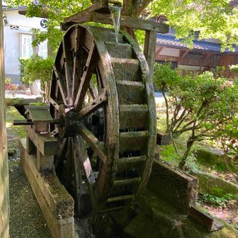 水音軽やか。
つつじや紅葉で有名な大興善寺ですが、