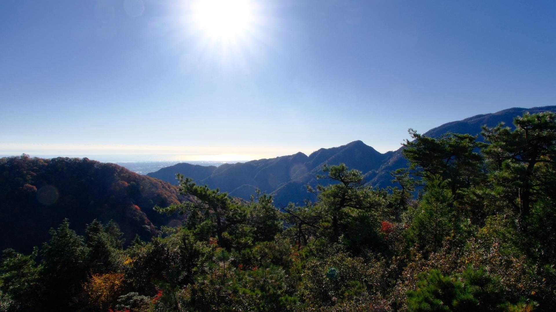登ってくると、伊勢湾が光って煌めいています✨✨