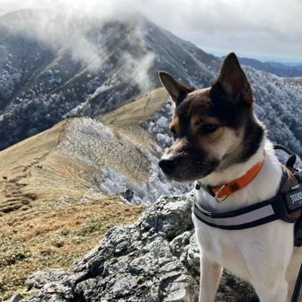 いのと岳（がく）