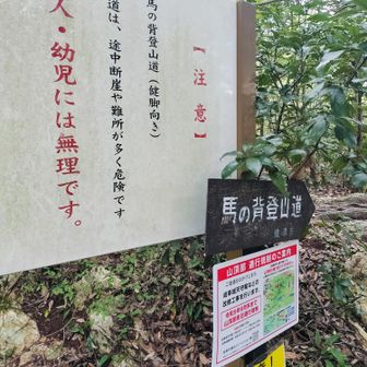 まだ大丈夫そう👶