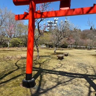 やっと出られる。安心😮‍💨
まだ梅咲いてる？