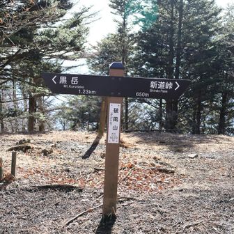 えっ、ここが破風山頂上！？
見落とすところでした。