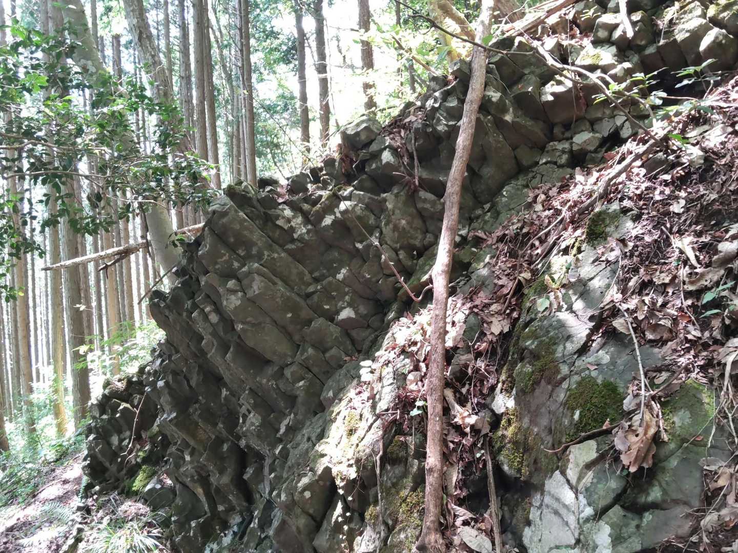 荒戸山 往復コースの写真