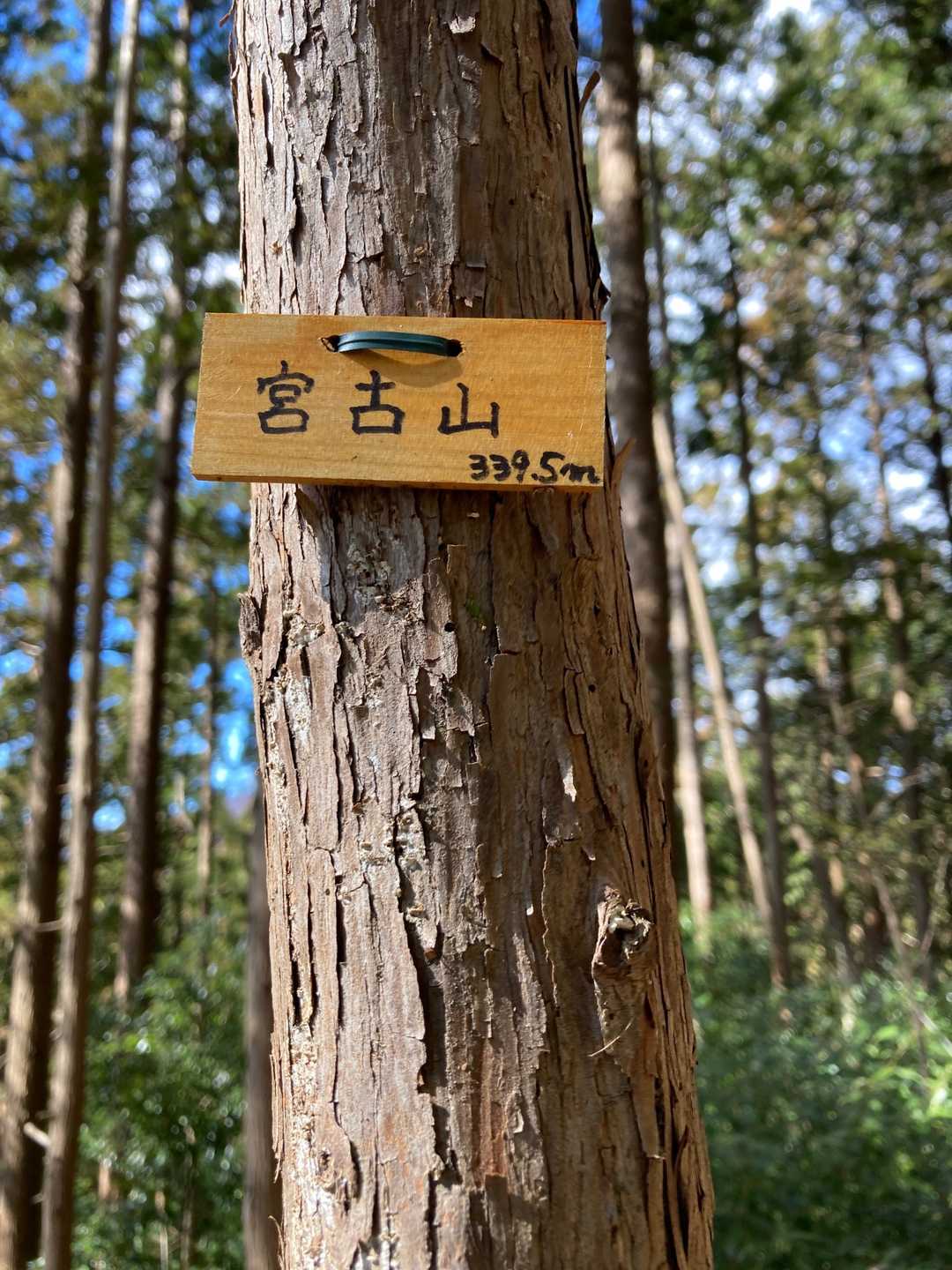 宮古山頂上
