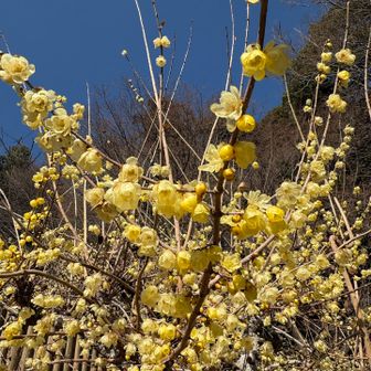 何枚も写真を🤳撮ってしまいます