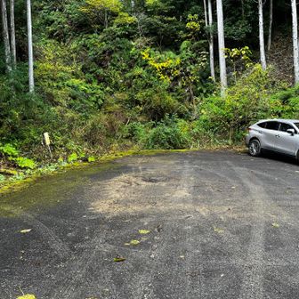 降りてきました
やはり、車は増えてない(笑笑)
誰にも会ってないし🤭
那智の滝へ急ぎます