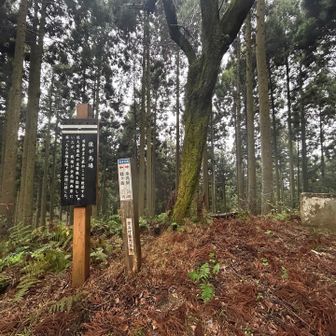 羽柴秀吉がいた馬場
400年前ここに秀吉が！猿🐵が！