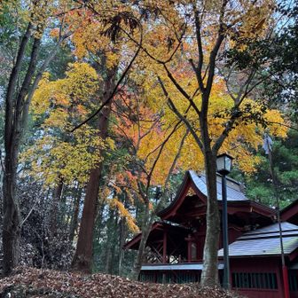 凛とした空間です！