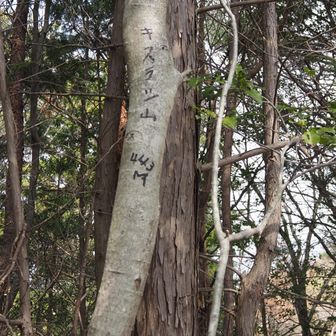 キスラシ山　標高443ｍ　以前は山名板があったが今はなし。