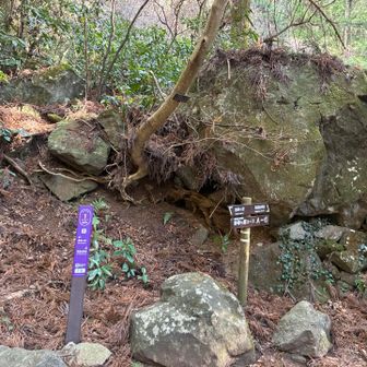 しんどい、休憩