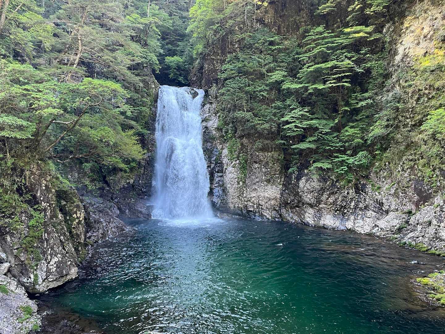堂倉滝は秘境感あり
大杉谷はここで終了