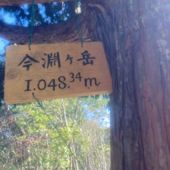 取り直し。